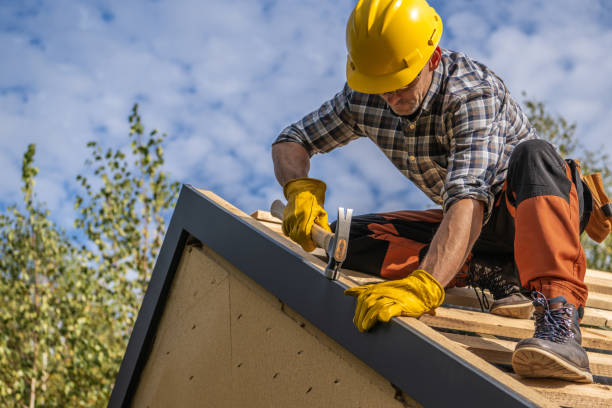 Professional Roofing in Longbranch, WA